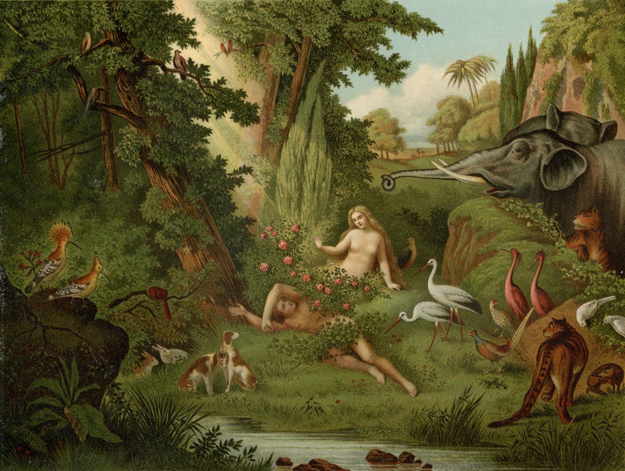 De Schepping van Eva door Johann Elias Ridinger or Riedinger
