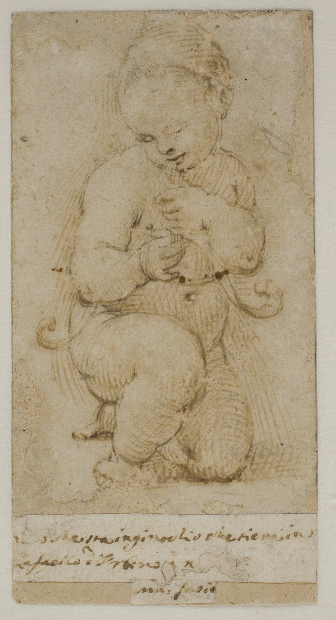 De jonge Johannes de Doper door after Raphael