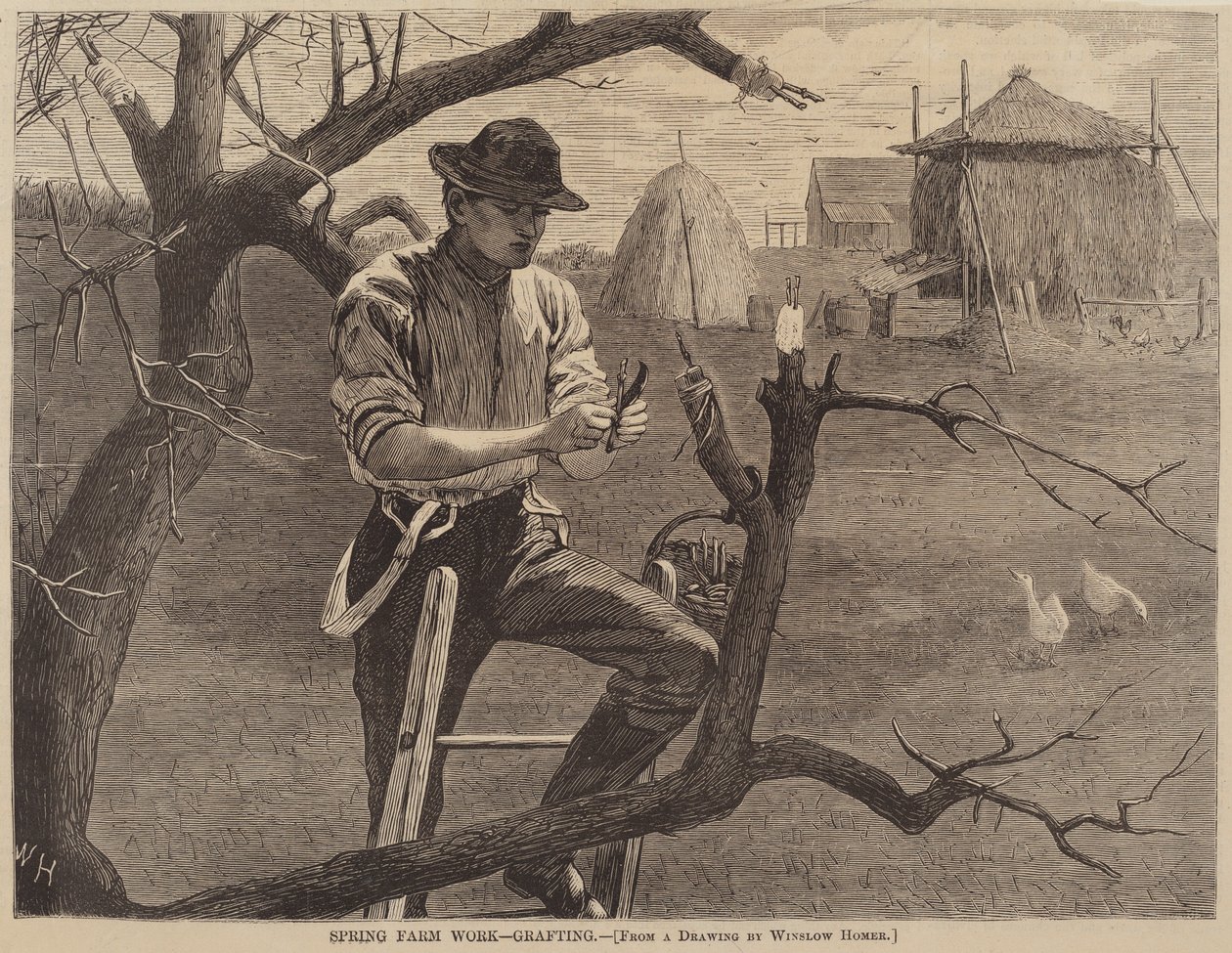 Lente Boerderijwerk - Enten door after Winslow Homer