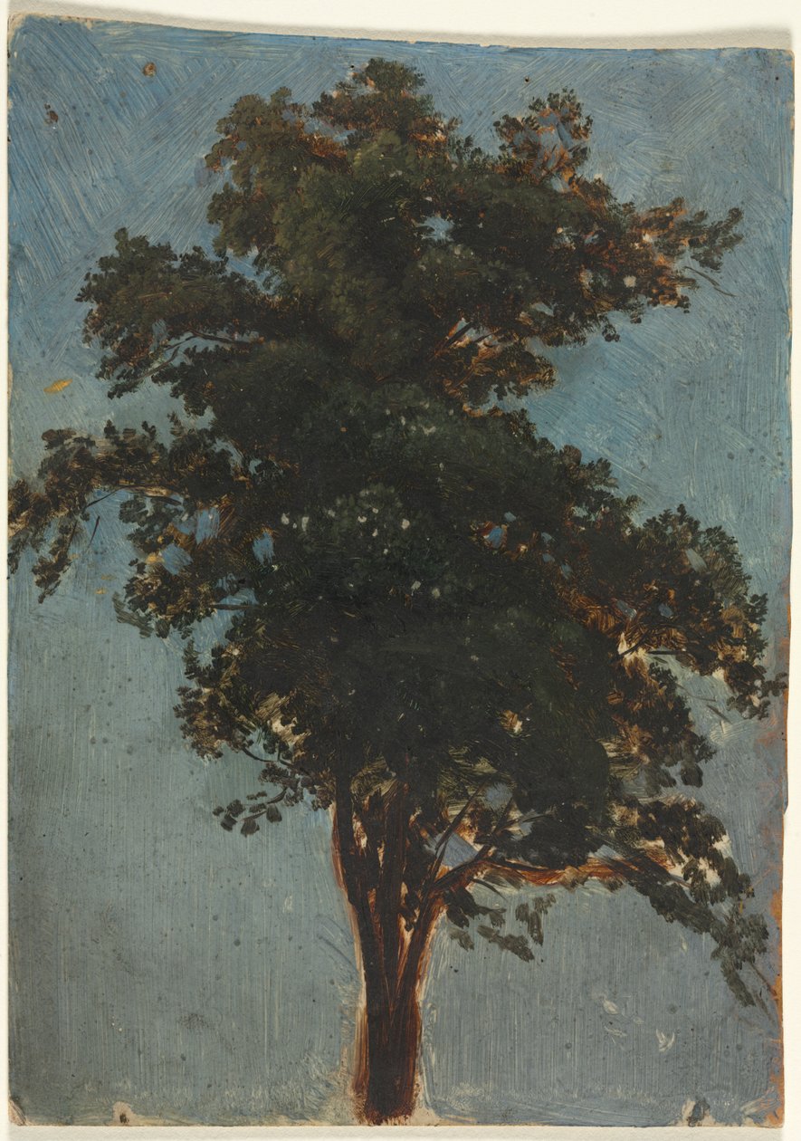 Boomstudie door attributed to Alexandre Calame