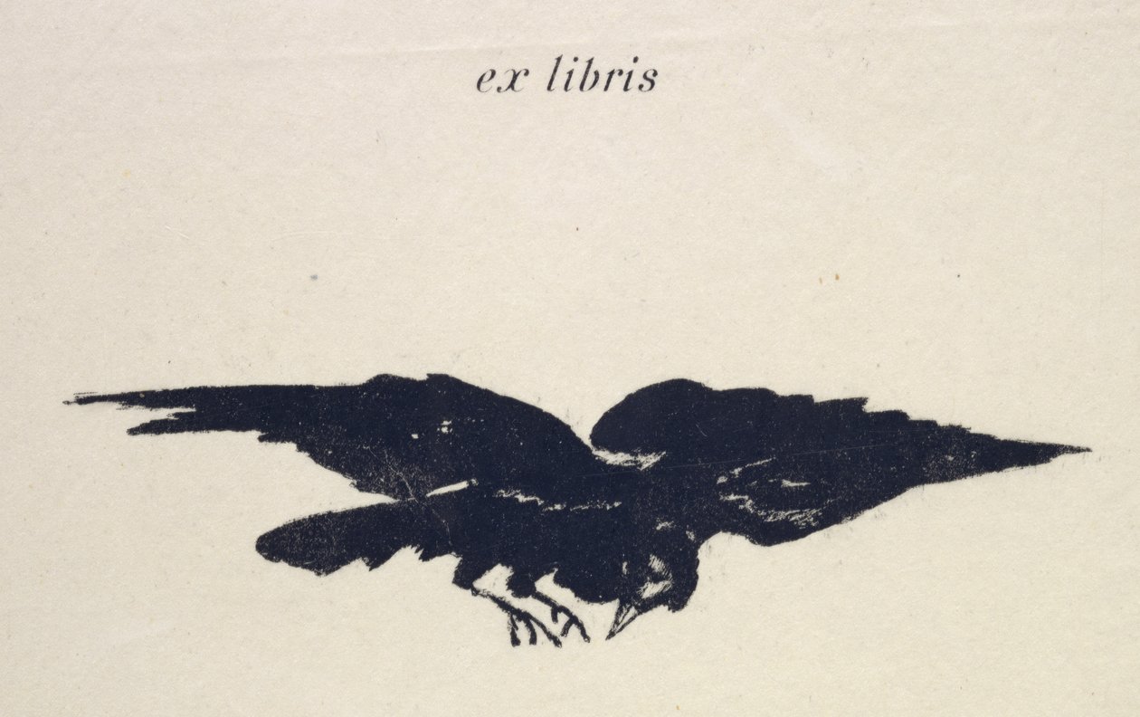 Le Corbeau (De Raaf), 1875 door Édouard Manet
