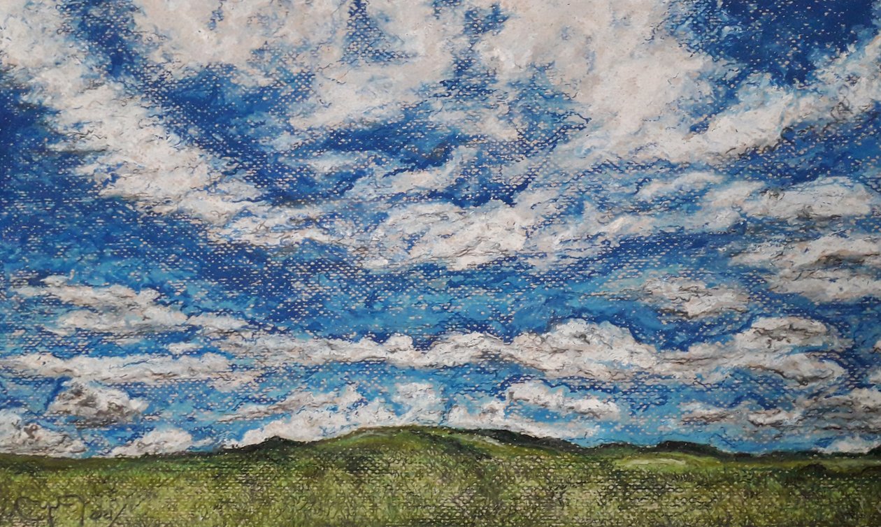 De Grote Savanne Venezuela door miguelmendez_art.ve