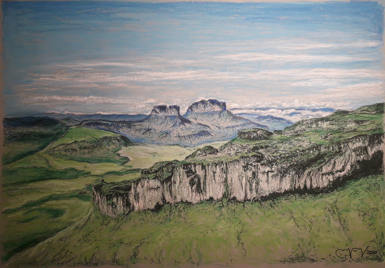 De Grote Savanne Venezuela door miguelmendez_art.ve