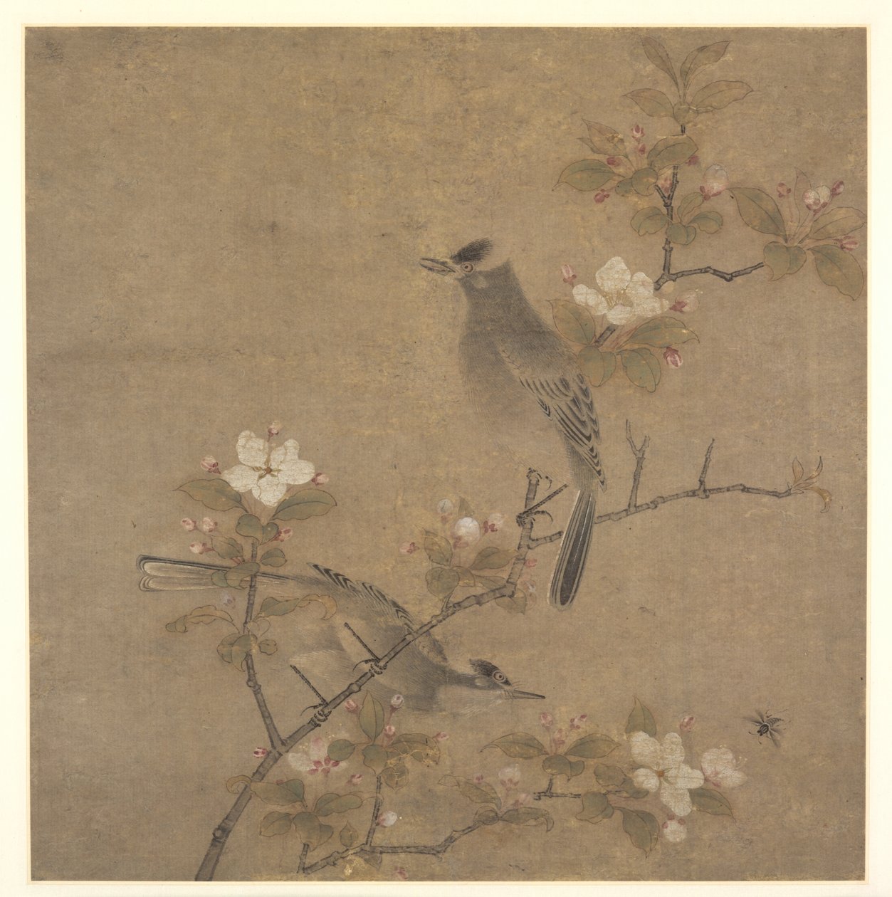 Bloemen en Vogels door style of Qian Xuan