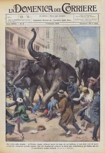 Van het circus naar de straat