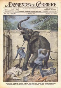 Een tragedie in de dierentuin van Rome