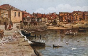 Meeuwen in de Haven, St Ives