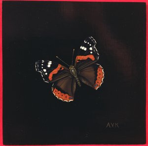 Atalanta vlinder, 2001