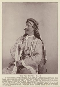Mere Alli Harfush, Syriër