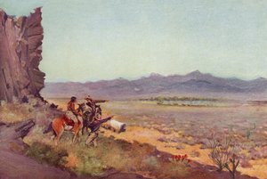 Luchtspiegeling in de Woestijn, Arizona