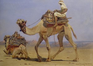 Kameel Bereidt zich voor om te gaan liggen, 1858