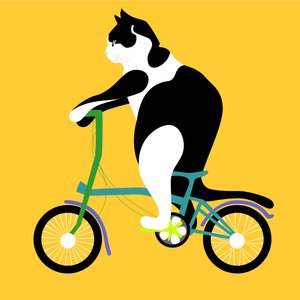 Kat op een Brompton-fiets