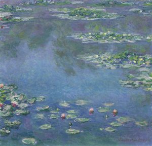 Waterlelies