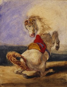Steigerend paard