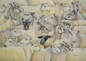 Schapen-Deken