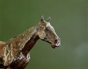 Paardenhoofd (brons) (detail)