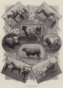 Op de Leicester Agricultural Show