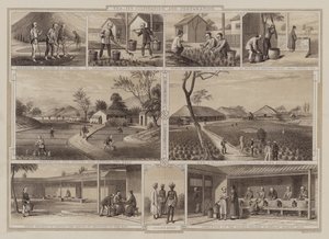 Teelt en voorbereiding van thee