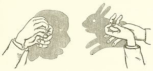 Handschaduwen