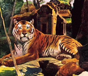 Tijger in de ruïnes