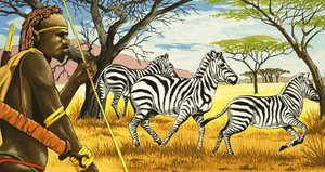 Stamlid en zebra