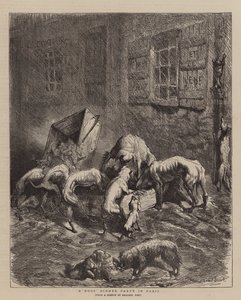 Een honden dinerfeest in Parijs