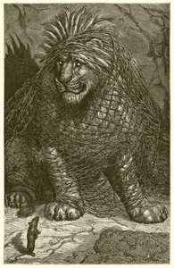 De Leeuw en de Muis