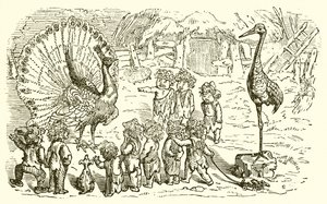 De Pauw en de Kraanvogel