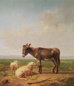 Ezel en schapen, 1849