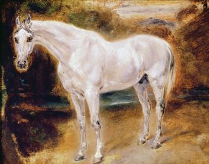 Witte Paard