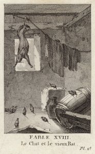 De kat en de oude rat