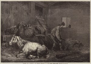 Paarden in een stal