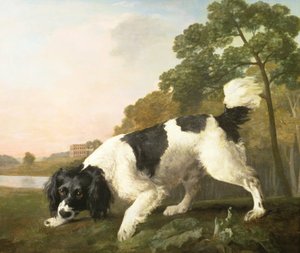 Een spaniël in een landschap, 1771