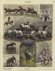 In het Circus