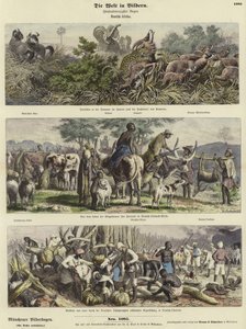 De Wereld in Beelden: Duits Afrika