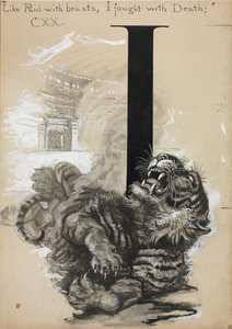 Tijger