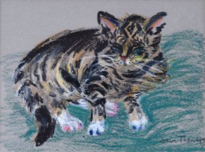 Cyperse Kat, 2005