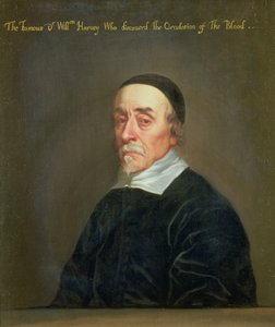 Portret van William Harvey (1578-1657)