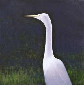 Witte Reiger