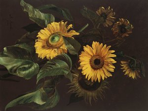 Zonnebloemen, 1839
