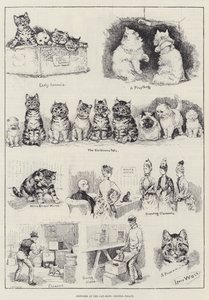 Schetsen op de kattenshow, Crystal Palace