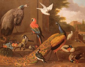 Vogels in een landschap