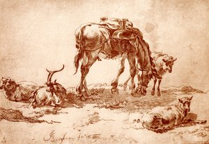 Weide met ezel, geit en schapen