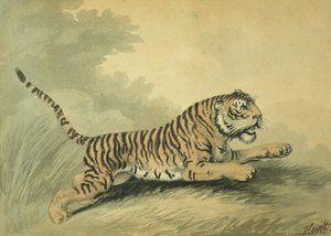 Een tijgerin springt naar rechts, 1807