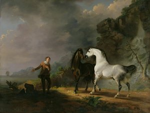 Gulliver spreekt de Houyhnhnms toe, 1769