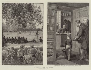 Het leven van een jongen op Eton