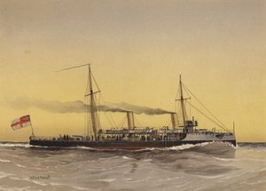 HMS Speedwell, torpedokanonneerboot