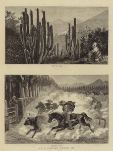 Bij een Chileense Rodeo, III