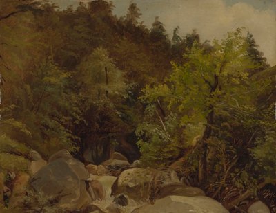 Waterval bij Ohlstadt door Adolf Heinrich Lier