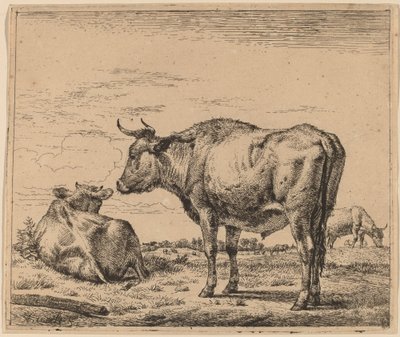 Staande Stier door Adriaen van de Velde